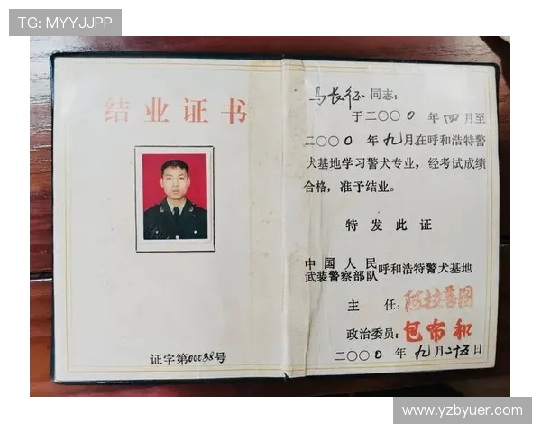 球队年度社区贡献活动总结彰显社会责任