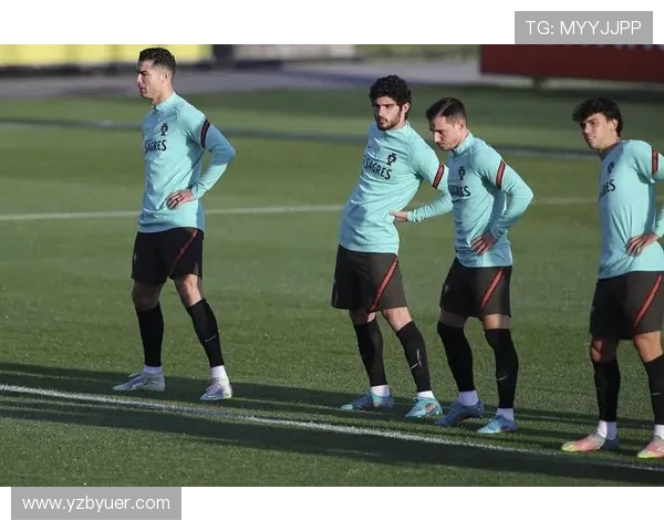 足球训练中的力量提升与身体塑形